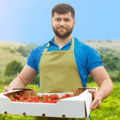 Скільки українці можуть заробити на сезонних роботах у Німеччині, Данії, Швеції, Польщі